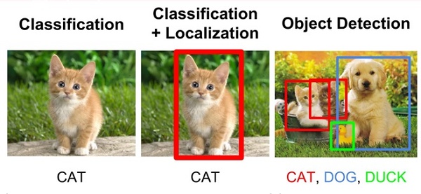 Imagens de gato, cachoro e pato com retângulos em volta