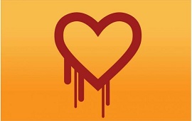 Imagem mostra coração sangrando